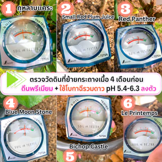 10L/4 Kg ดินกุหลาบ และไม้ดอก สูตรพรีเมี่ยม สูตรบำรุงดอก 13 ส่วนผสม มีผลตรวจแล็บ ธาตุอาหารสูง ไม้เติบโตได้ดีในระยะยาว