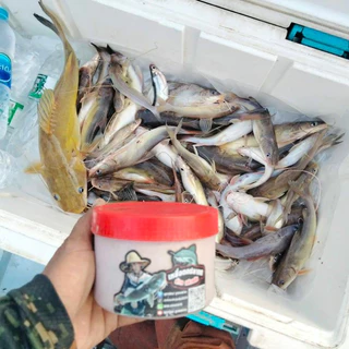 เหยื่อตกปลากด น้าเอหลิวสลัม(ของแท้) ขนาด400g.