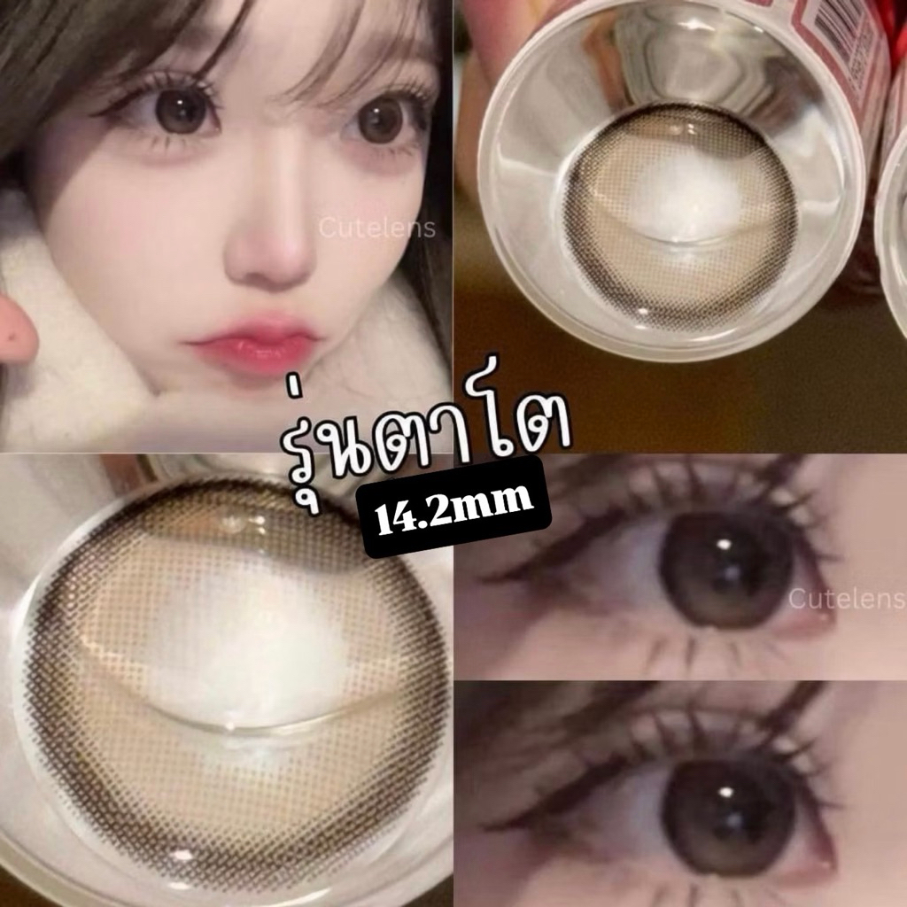 เลนส์คอนแทค พาชิ Brown/Gray 14.2mm ขนาดกลาง (Bigeyes) สายตาปกติ กรองแสง uv