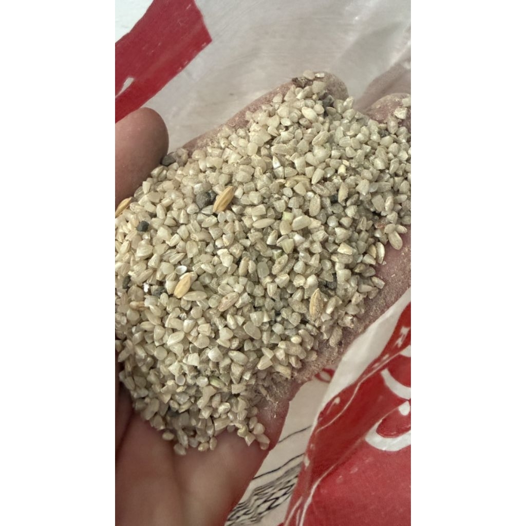 ข้าวท่อน 15 kg สีน้ำตาล ใช้เป็นอาหารสัตว์ สำหรับ นก ไก่ ผสมกับข้าวเปลือกไก่ เพิ่มสารอาหารได้ดี