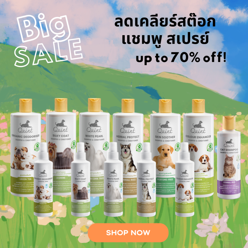 Sale 70 % เคลียร์สต๊อกสินค้า แชมพูและสเปรย์อาบน้ำแห้ง