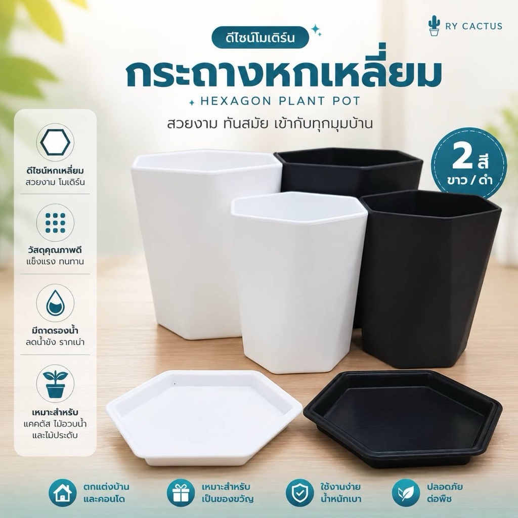 กระถาง 6 เหลี่ยม / กระถางกลม 3 ขา ปลูก ต้นไม้ แคดตัส ทรงสวย