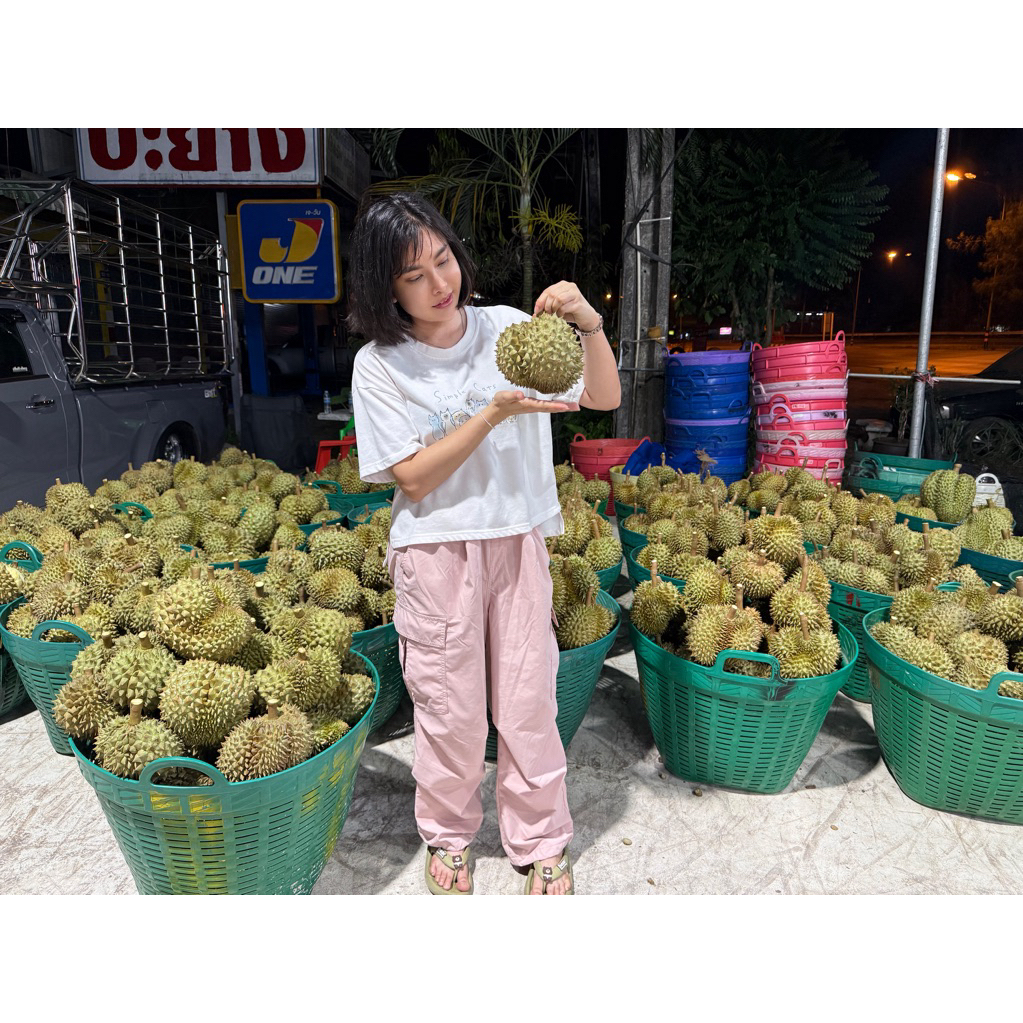 ทุเรียนหมอนทองจันทบุรี 1.2-1.4 โล