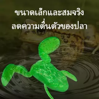 5 ชิ้น/กล่อง เหยื่อกบอ่อนตกปลา น้ำหนัก 5–10 กรัม ผสมสีสันสดใส มีชีวิตชีวา น่าสนใจ ยืดหยุ่นสูง เหมาะตกปลาทั่วไป