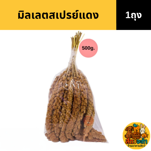 (ขนาด 500g.) มิลเลตสเปรย์แดง อาหารนก เป็นอาหารเสริมสำหรับนก