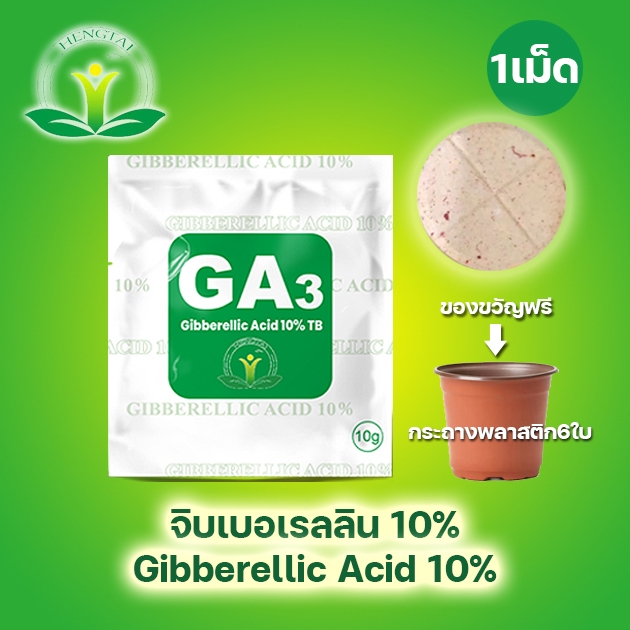 // แพ็ค 20 เม็ด // จิ๊บเม็ด ( 5 กรัม ) จิ๊บ บอเรลลิกแอซิด (Gibberrellic acid 20%) แบบเม็ด ละลายน้ำดี