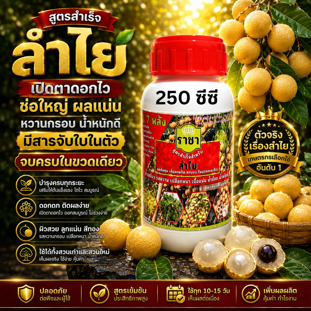 ราชา ลำไย เปิดตาดอก ระเบิดดอก ยืดช่อ บำรุงผลเล็ก และขยายผลโต