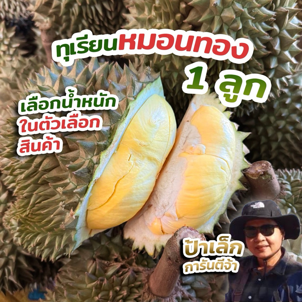 ทุเรียนหมอนทอง 1 ลูก เนื้อ1 คัดเนื้อไม่เน้นทรง กดซื้อและเลือกน้ำหนักได้เลยจ้า