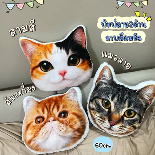 🐈หมอนอิงน้องแมว หมอนพิมพ์ลายแมว มีให้เลือกหลายลายค่ะ ภาพสีคมชัด ขนาด 60cm. พิมพ์ลาย2ด้าน น่ารักสุดๆ สัมผัสนุ่มมือ💖