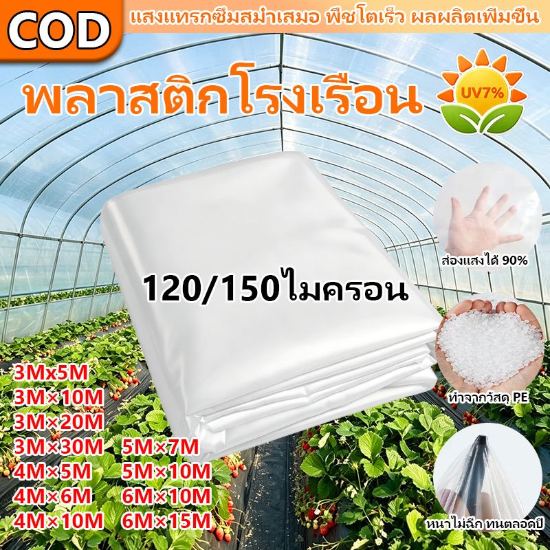 COD พลาสติกคลุมโรงเรือน พลาสติกPE ขนาด 120/150 ไมครอน uv7% ทนทาน โรงเรือนเพาะปลูก คุณภาพสูง พลาสติกโรงเรือน greenhouse
