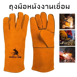 MUSCLE COW ถุงมือหนังงานเชื่อม 10.5" และ13" ทำจากหนังวัวชั้นที่ 2 ทั้งชิ้น เบาและสามารถระบายอากาศได้ดี ถุงมือเชื่อม