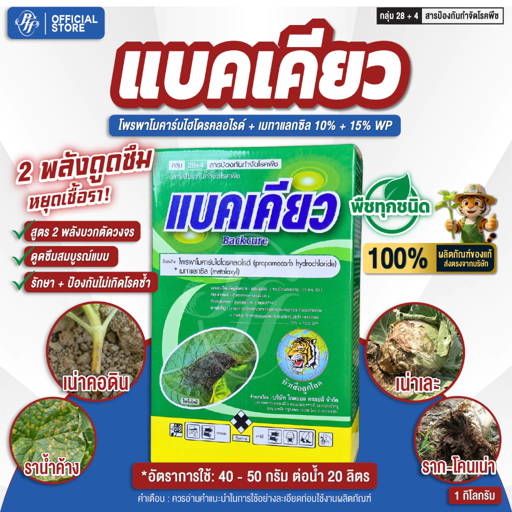 แบคเคียว ล็อตใหม่ โพรพาโมคาร์บ+เมทาแลกซิล 1 กิโลกรัม ล็อตใหม่ล่าสุด สูตรดูดซึม เก่งเชื้อราใต้ดิน รากเน่า โคนเน่า หัวเน่า