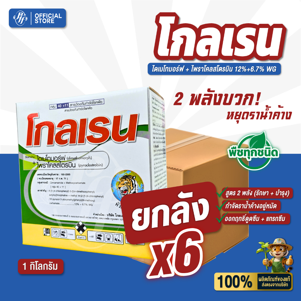 โกลเรน [ยกลัง 6 กล่องX1 กิโลกรัม] ไดเมโทมอร์ฟ+ไพราโคลสโตรบิน ดูดซึม+สัมผัส ราน้ำค้าง ใบไหม้ กุ้งแห้ง
