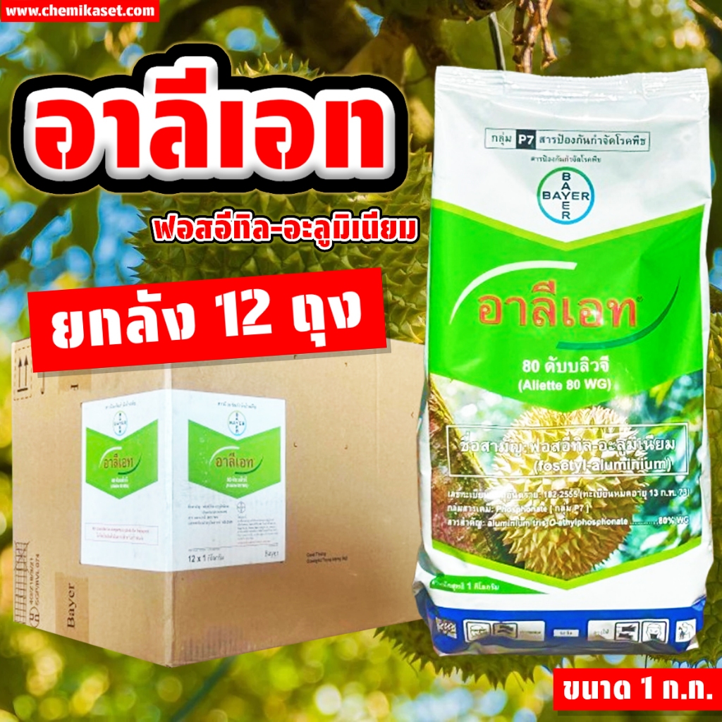 ยกลัง12ถุง อาลีเอท (ฟอสอิทิล-อะลูมิเนียม) ขนาด 1 ก.ก. ป้องกันเชื้อรา โรครากเน่า โรคเน่า โรคไฟท๊อป