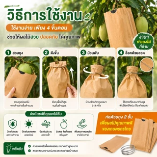 🥭พร้อมส่ง🥭ถุงห่อผลไม้คาร์บอน 100ใบ ถุงห่อมะม่วง ฝรั่ง ชมพู่ กันแมลง กันนก กันแดด กันฝน ผิวสวย ระบายอากาศดี 20x25/20x30