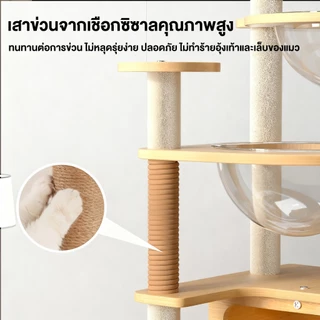 F&G คอนโดแมว 2 แคปซูล ความสูง 145 ให้แมวปีนสนุก ของเล่นแมว