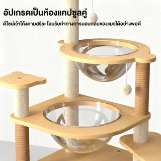 F&G คอนโดแมว 2 แคปซูล ความสูง 145 ให้แมวปีนสนุก ของเล่นแมว