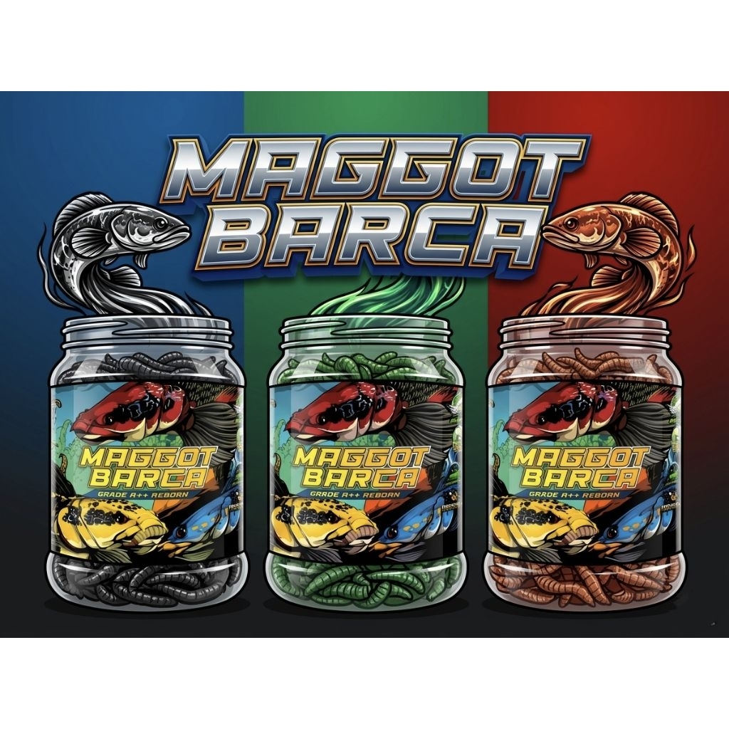 หนอนอบ MAGGOT BARCA (Grade A++ Reborn)