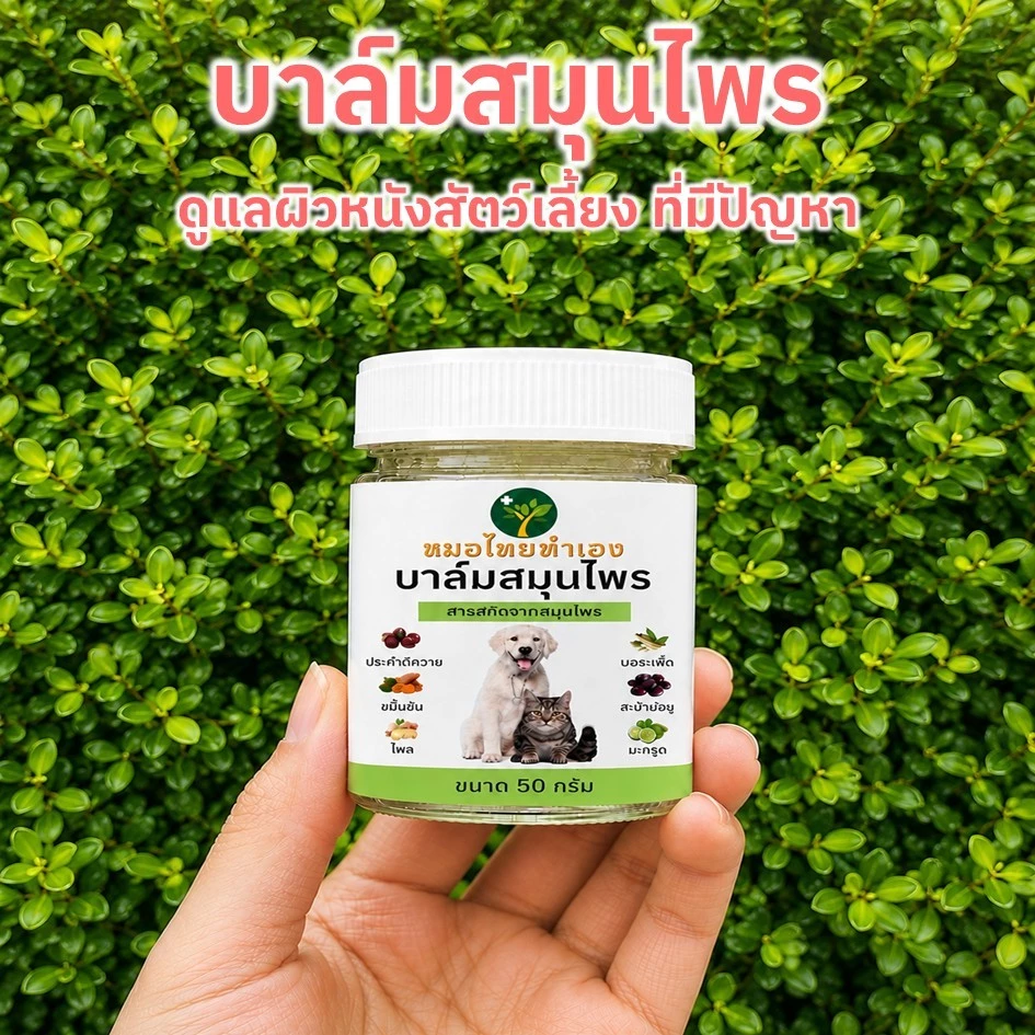 ครีมบาล์มดูแลผิวหนังสัตว์เลี้ยง สูตรสมุนไพร สุนัข แมว 20-50g
