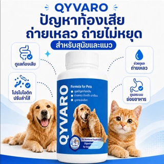 QYVARO โปรไบโอติก ท้องเสีย ถ่ายเหลว ท้องอืด เสริมสมดุลลำไส้ สุนัข แมว ทุกสายพันธุ์ ระบบทางเดินอาหาร
