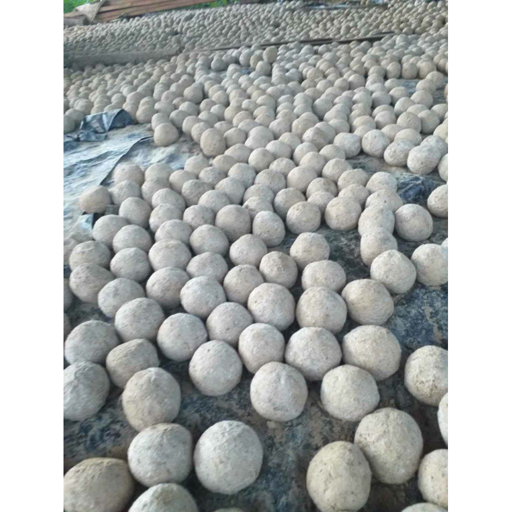 EM Ball100ลูก (อีเอ็มบอล) คือ ก้อนจุลินทรีย์ที่มีประสิทธิภาพและย่อยสลายสารอินทรีย์