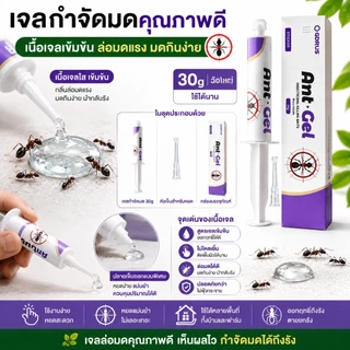 🐜พร้อมส่ง🐜Ant Gel เจลกำจัดมด กำจัดถึงรัง เห็นผลไว ปลอดภัย ใช้งานง่าย เจลล่อมด มดกินแล้วตายยกรัง ใช้ได้ทั้งบ้าน