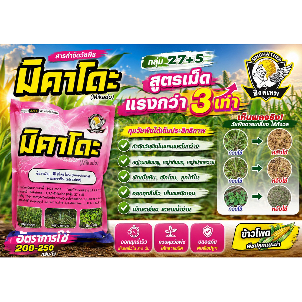 🩷มิคาโดะ ยาคุมฆ่าในไร่อ้อย 💥ฆ่าหญ้าใบแคบ ใบกว้างแห้วหมู  ✅ฉีดอัดโคน ทับยอด โดนหน่อได้ ฉีดได้ 4ไร่(ผสมน้ำได้ 400ลิตร)