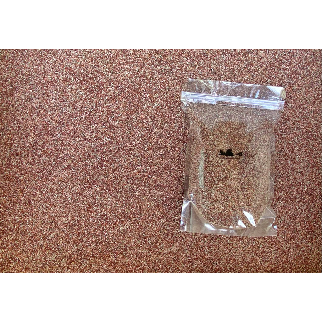 🐡 Salmon sand 🐡 sand ทรายสำหรับตกแต่งตู้ลำธาร ตู้ปลา,ตู้ไม้น้ำ