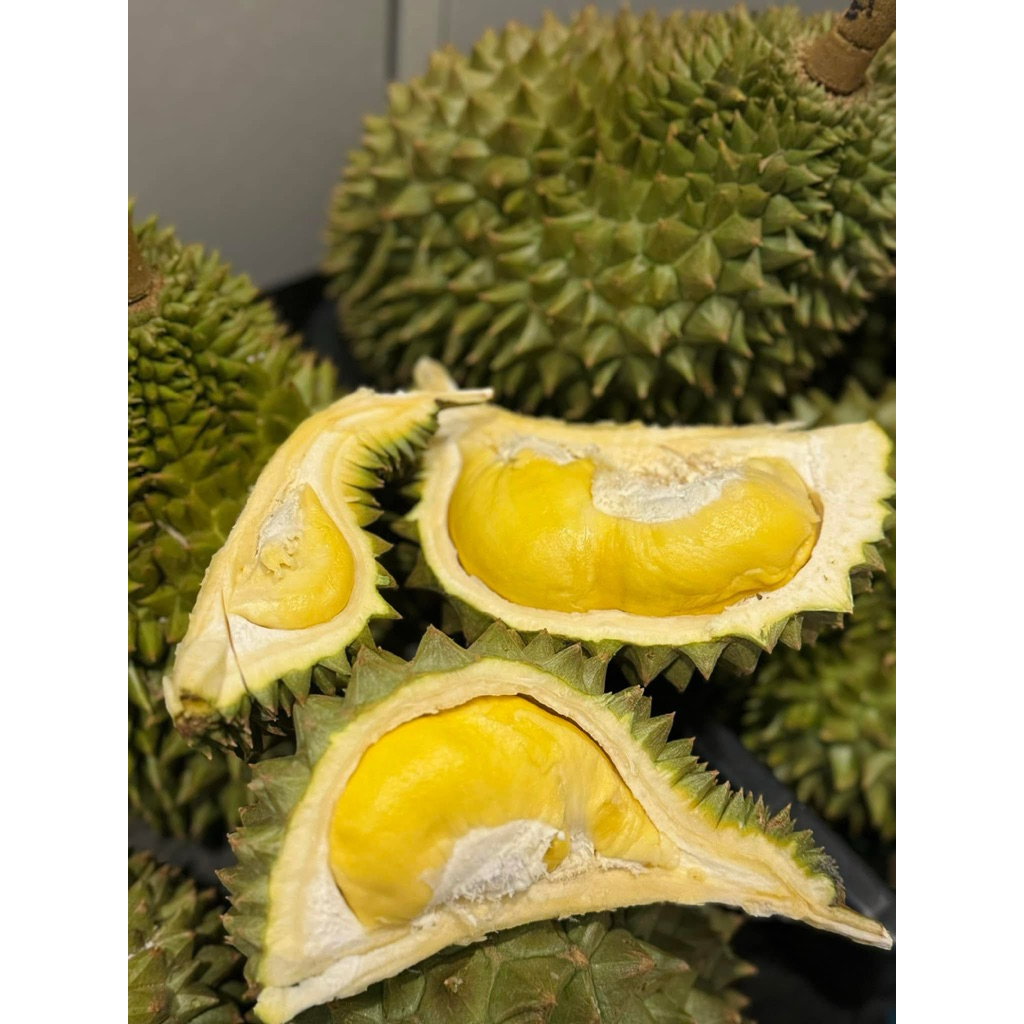 ชะนีไข่ ทุเรียนชะนีไข่ ตัดแก่ เนื้อแห้ง
