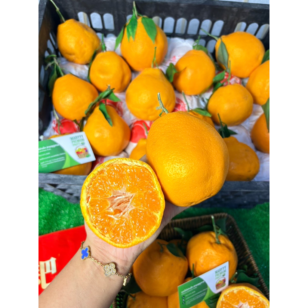 พร้อมส่ง‼️(1KG)🍊ส้มจุกสด ส้มจุกเดโกปอง หวานหอมเนื้อส้มเป็นเกล็ดๆอร่อยมาก ขนาดใหญ่ ( 4-5 ลูกโล )