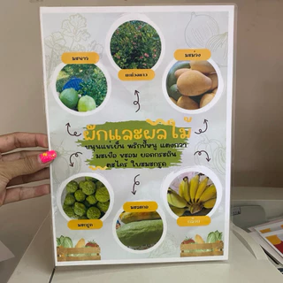 รับปริ้น+เคลือบแข็ง ปริ้นพิมพ์และเคลือบแข็ง(ส่งไฟล์ให้ร้าน) เมนู รูปอาหาร ป้ายร้าน ป้ายตามสั่ง เคลือบบัตร A5-A4-A3