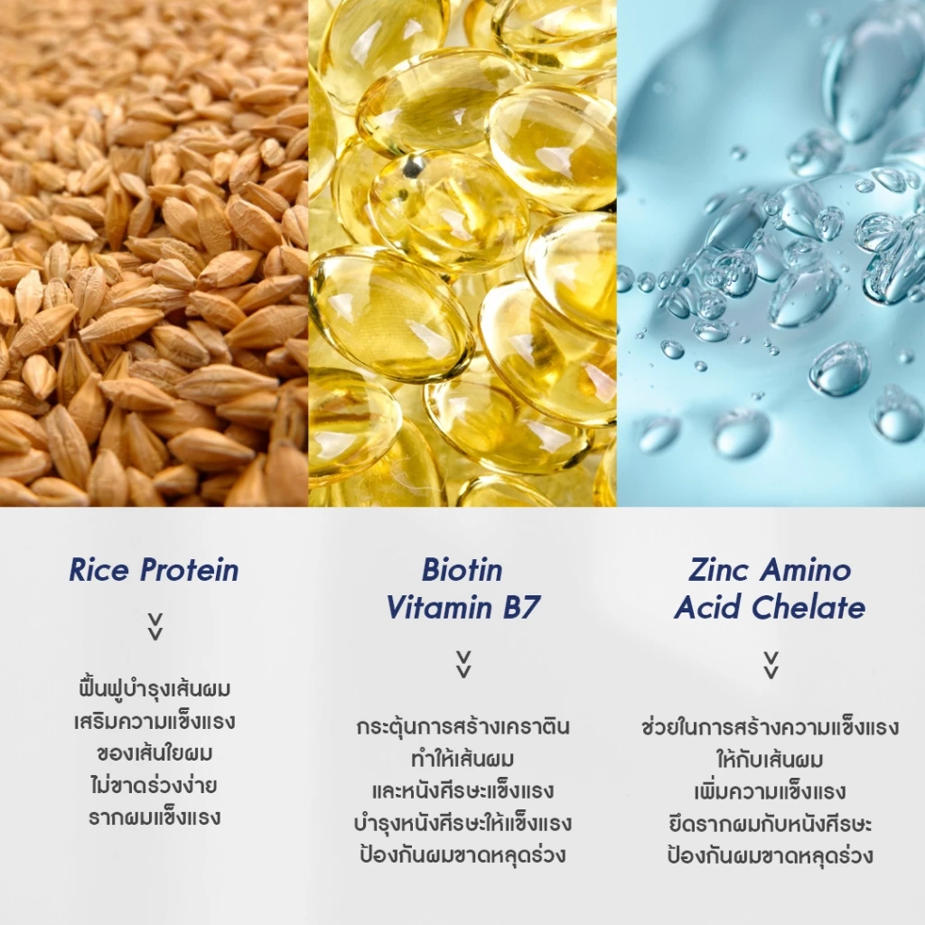 AGLAM เฮอร์ราติน - มีหญ้าหางม้า ซิงค์ ไบโอติน โปรตีนข้าว อัดแน่นเม็ด 1,000 มก. บรรจุ 30 แคปซูล thumbnail 3