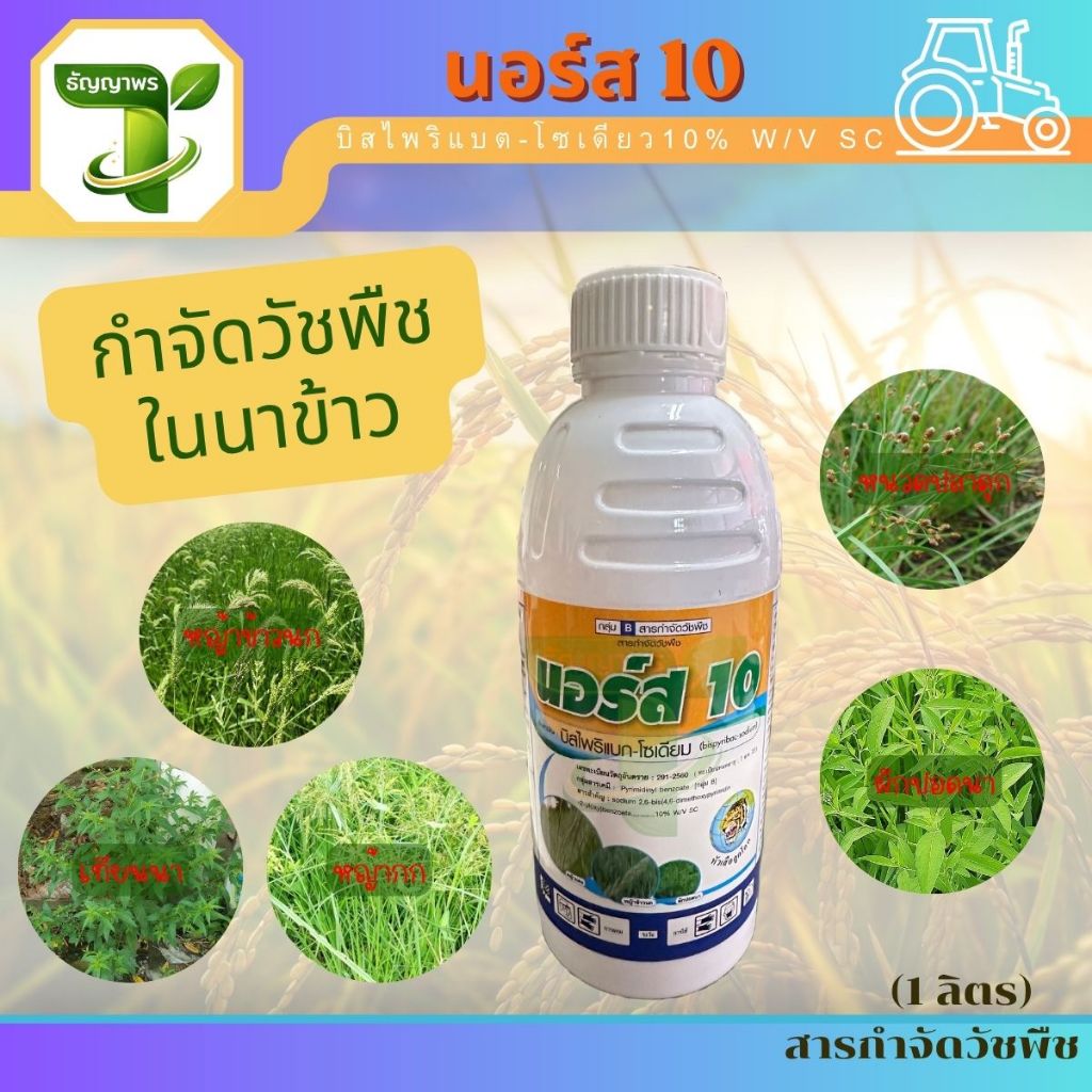 นอร์ส 10 (บิสไพริแบต-โซเดียว10% W/V SC) 1ลิตร กำจัดวัชพืชในนาข้าว หญ้าข้าวนก  ผักปอดนา กกขนาก