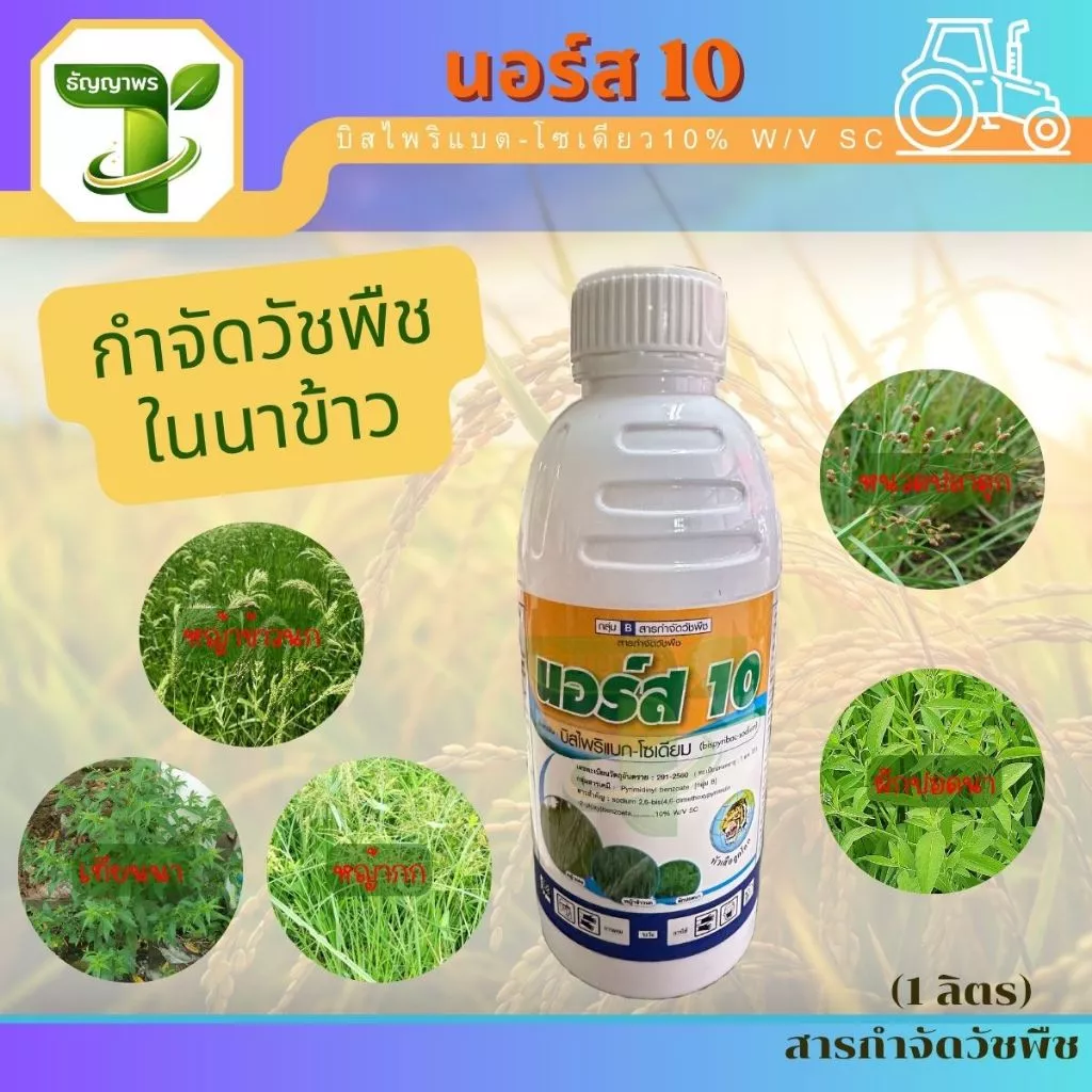 นอร์ส 10 (บิสไพริแบต-โซเดียว10% W/V SC) 1ลิตร กำจัดวัชพืชในนาข้าว หญ้าข้าวนก ผักปอดนา กกขนาก
