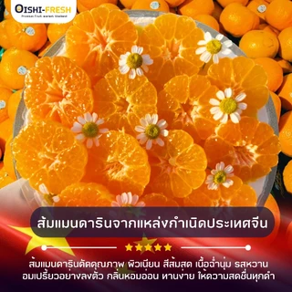 🇨🇳Oishi-fresh🦜🍊ส้มใต้หวัน S(70)หวานจัด หอมส้ม เปลือกร่อน รสชาติหวาน หอม กลิ่นส้ม สด ใหม่ ใยอาหารสูง เคลมได้ 1-2 วัน