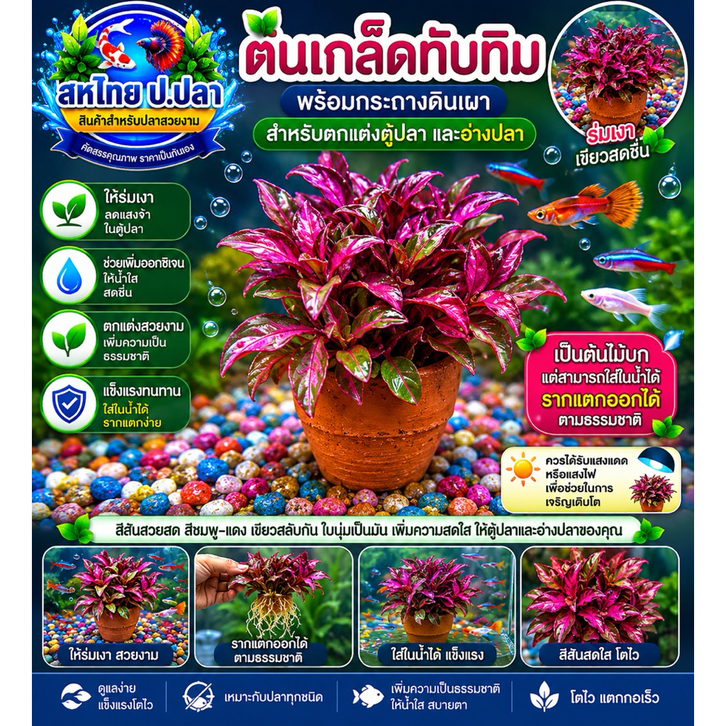 ต้นไม้บก(7กระถางแถม 1 กระถาง)เกร็ดทับทิม ก้านแดง เป็ดแดงลาย (ต้องเปิดไฟเมื่อใส่ตู้)ถ้าพืชไม่มีแสงจะเน่าเสียง่าย