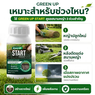 Green UP START สำหรับหญ้าปลูกใหม่ หลังตัดหญ้า เร่งรากหญ้า หญ้าติดดี ฟื้นตัวไว แก้หญ้าโทรมหน้าร้อน