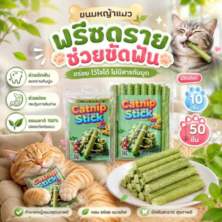 Thai.th ขนมหญ้าแมว ผลิตจากต้นอ่อนข้าวสาลี ช่วยขัดฟัน 1 ถุง บรรจุ 10 ชิ้น Catnip Sticks 10pcs