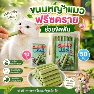 Thai.th ขนมหญ้าแมว ผลิตจากต้นอ่อนข้าวสาลี ช่วยขัดฟัน 1 ถุง บรรจุ 10 ชิ้น Catnip Sticks 10pcs