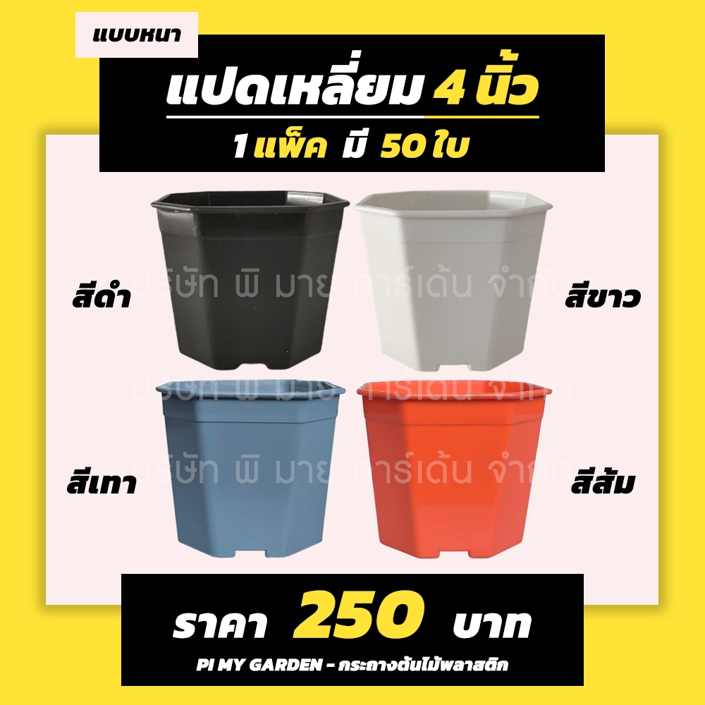 กระถางแคคตัส ทรงแปดเหลี่ยม 4 นิ้ว สีขาว สีดำ สีเทา สีอิฐ แพ็ค 50 ใบ