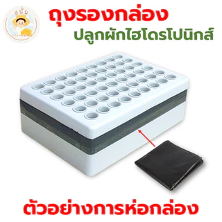 ถุงดำรองกล่องโฟม ถุงดำปลูกผักไฮโดรโปนิกส์ ถุงรองกล่องกุ้ง ขนาดพอดีกล่องกุ้ง 10 กก. ทรงแบน