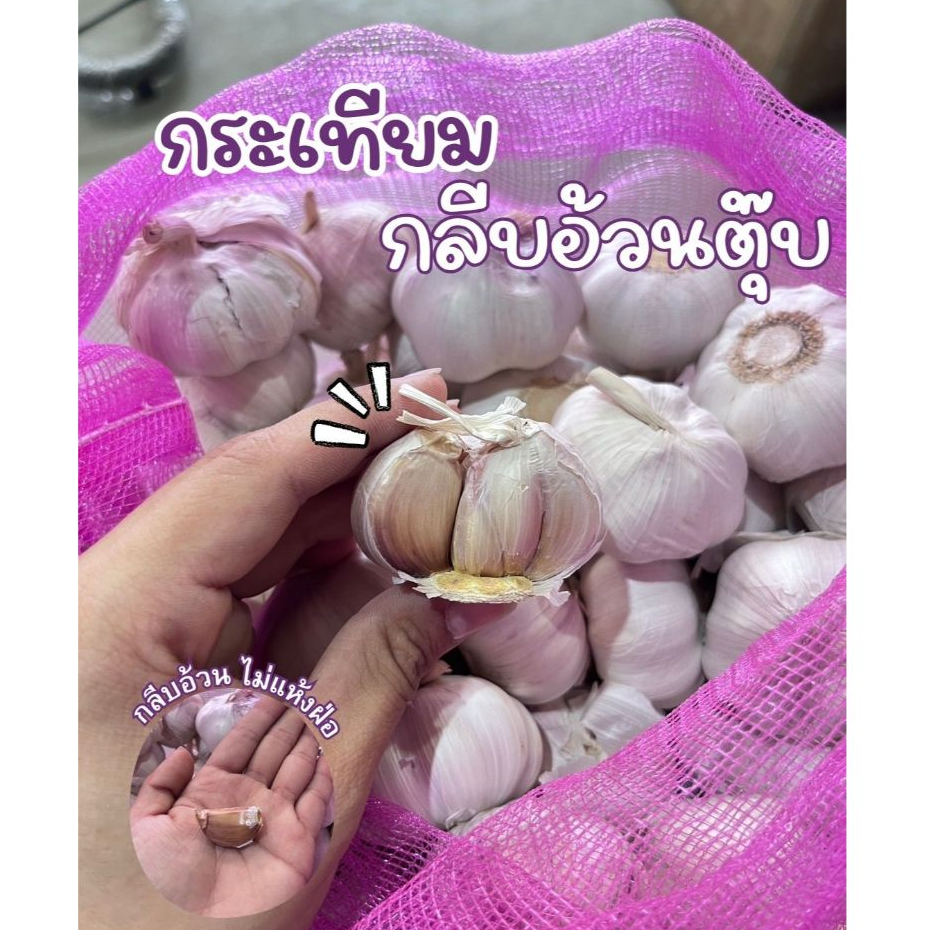 กระเทียมจีน กระเทียมกลีบใหญ่ พร้อมส่งขนาด  250กรัม 500กรัม 1กิโลกรัม จัดส่งทั่วประเทศ