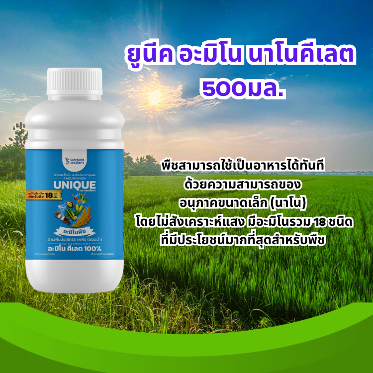ยูนีค อะมิโน นาโนคีเลต 500มล. 1 ขวด ช่วยให้พืชเจริญเติบโตดี โปรตีน+เอนไซม์ครบถ้วน ปลอดภัย ไม่มีคลอไรด์
