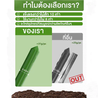 ไม้ค้ำต้นไม้ยาว 60 - 180ซม. วัสดุทำจากเหล็ก เคลือบพลาสติกสีเขียวที่ทนทานต่อการใช้งานและไม่เป็นสนิม