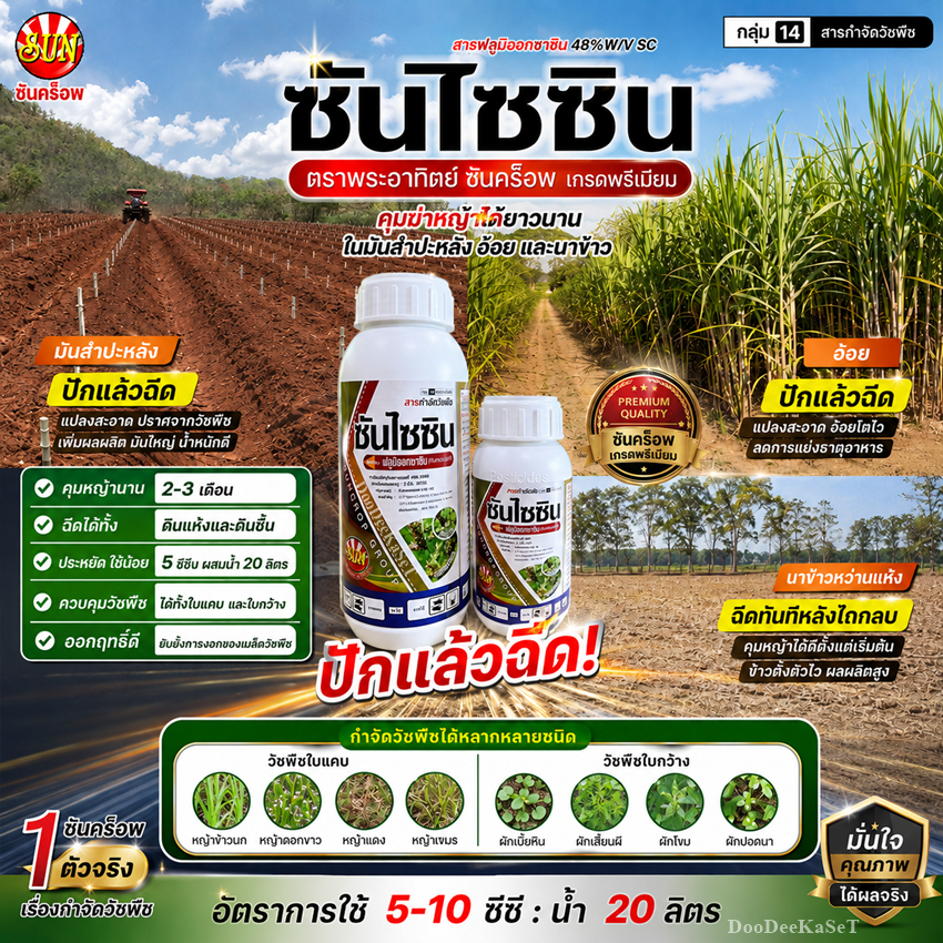 ซันไซซิน(ฟลูมิออกซาซิน 48% W/V SC) คุมฆ่าหญ้าในไร่มัน ไร่อ้อย ข้าวโพด นาหว่านแห้ง ปักแล้วฉีด คุมนาน 3 เดือน