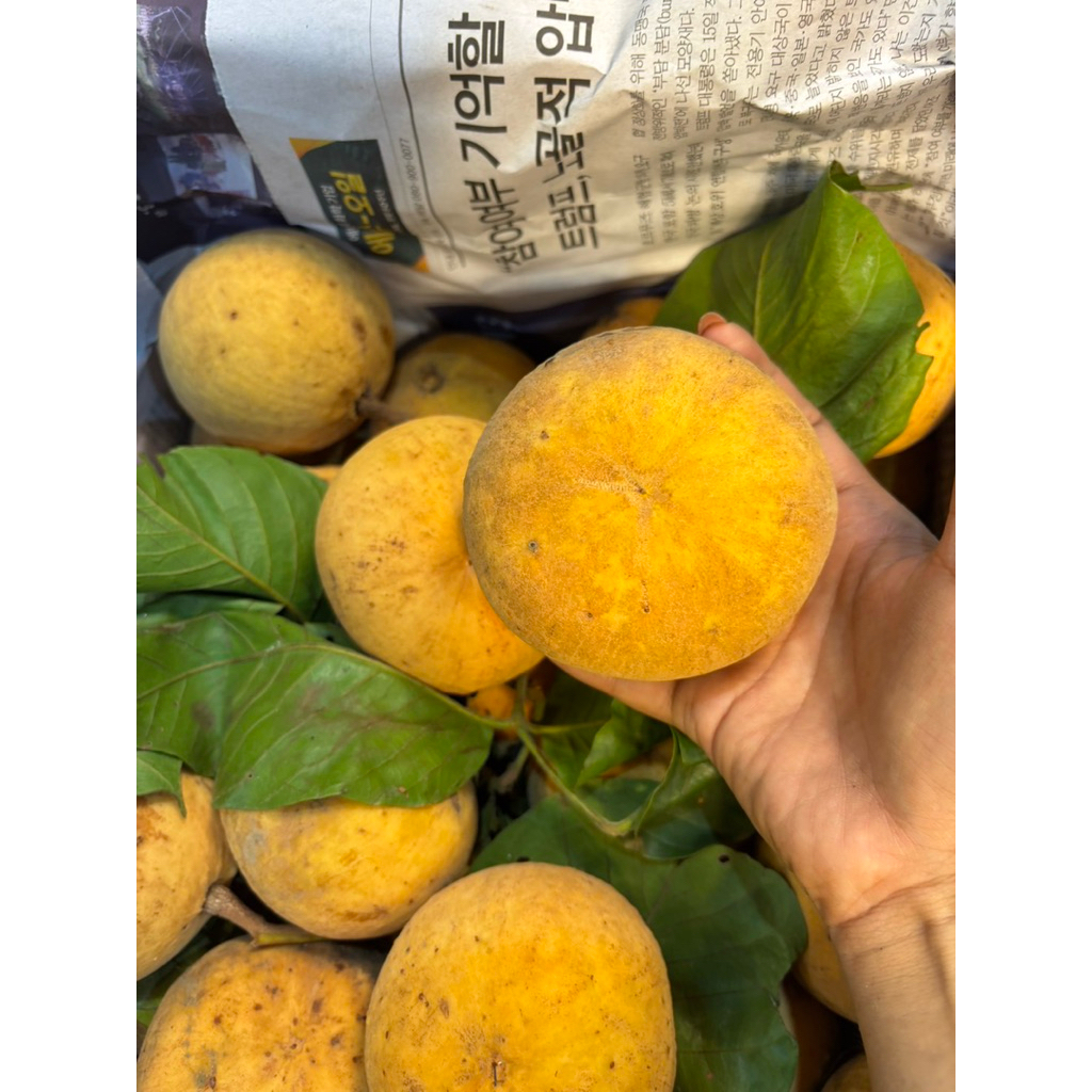 กระท้อนปุยฝ้ายเก็บสดจากสวน 1kg. ประมาน 4-5 ลูก