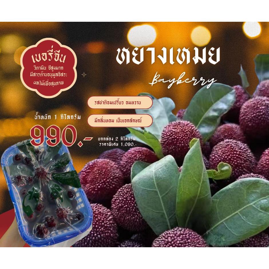 Yangmei เอี่ยบ๊วย/หยางเหมย 3in1 (ผลไม้ตามฤดูกาล หาทานได้ยาก รสชาตหวานอมเปรี้ยว อร่อยติดใจ)