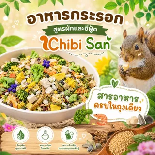 อาหารกระรอก R&M - Chibi San Premium Squirrel Food เมล็ดพืชรวม ธัญพืช สำหรับกระรอกเลี้ยง