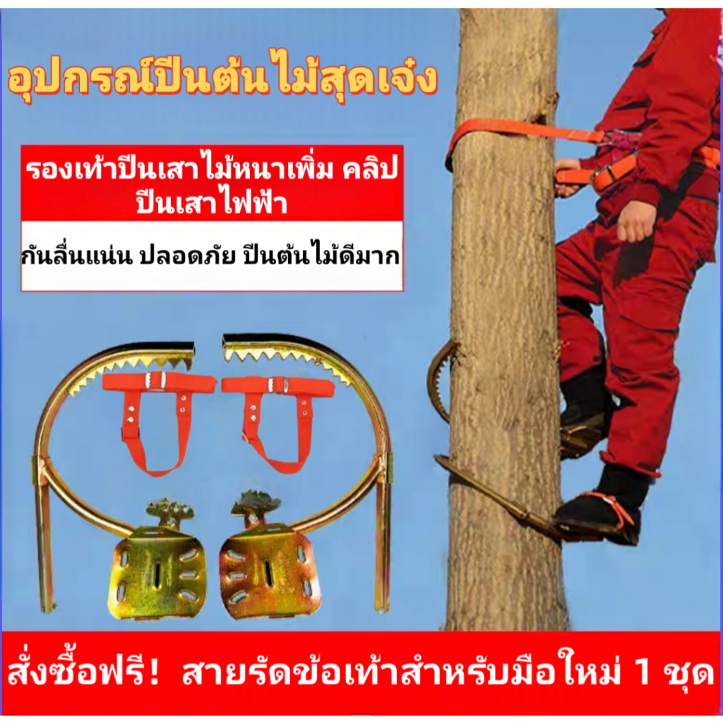 🦄อุปกรณ์ปีนต้นไม้ รองเท้าปีนต้นไม้.เครื่องมือปีนต้นไม้🦄เครื่องมือปีนเสา เข็มขัด นิรภัย ปีนเสาช่วงที่ปรับได้ 200*400mm