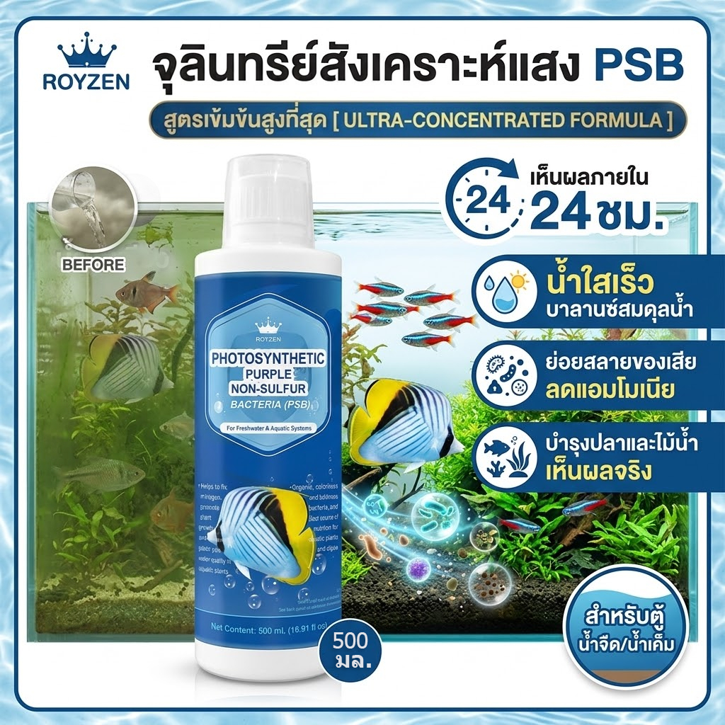 จุลินทรีย์ดูแลสมดุลในระบบน้ำ อ่างปลา ตู้ไม้น้ำ บำรุงปลา บำรุงต้นไม้น้ำ สังเคราะห์แสง PSB สารสกัดจากย